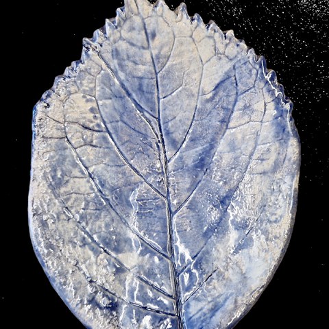 20260130 193735. Vergrösserte Ansicht