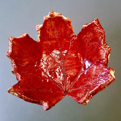 20260131 081359. Vergrösserte Ansicht