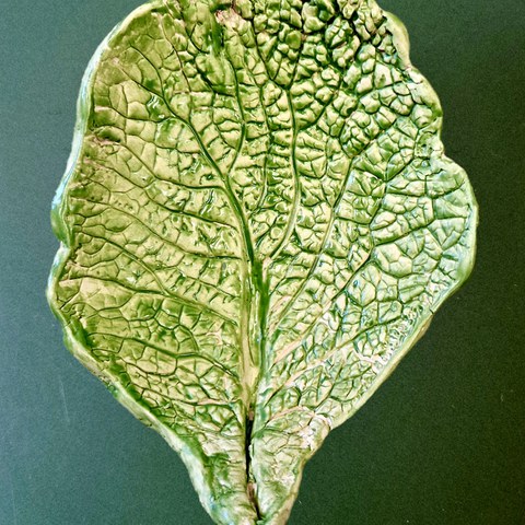 20260131 081616. Vergrösserte Ansicht