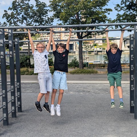 shared image (10). Vergrösserte Ansicht