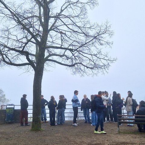 20241107 110155. Vergrösserte Ansicht