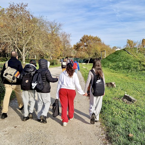 20251106 101144. Vergrösserte Ansicht