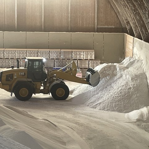 Image. Vergrösserte Ansicht