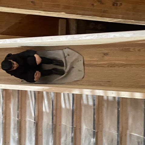 Image3. Vergrösserte Ansicht