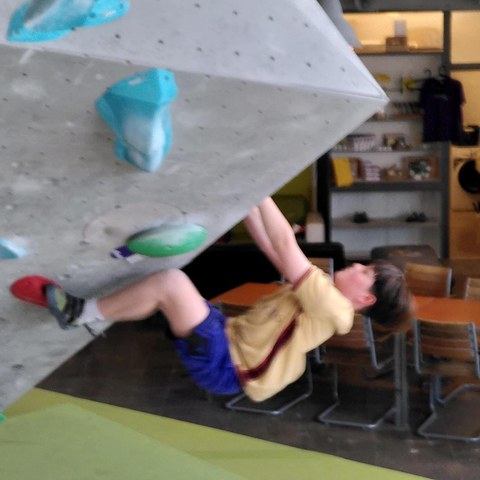 m. Vergrösserte Ansicht