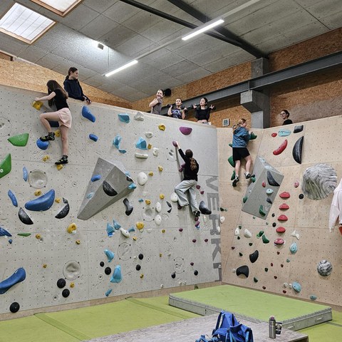 shared image3. Vergrösserte Ansicht