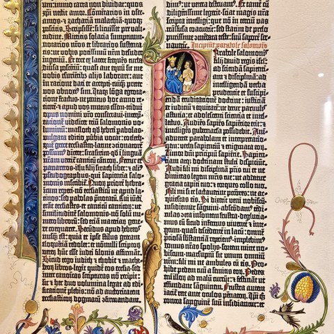 20260619 110347. Vergrösserte Ansicht