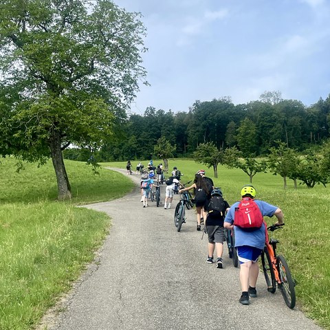 Image5. Vergrösserte Ansicht