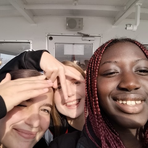 IMG 20251106 121020. Vergrösserte Ansicht