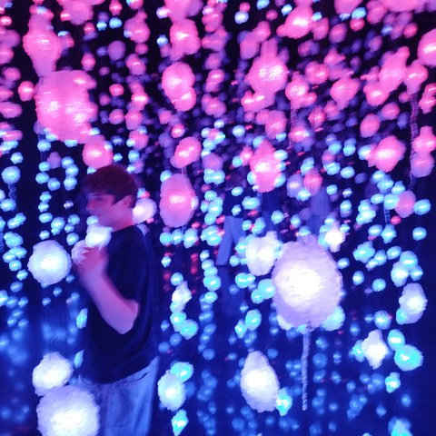 IMG 20251106 140146. Vergrösserte Ansicht