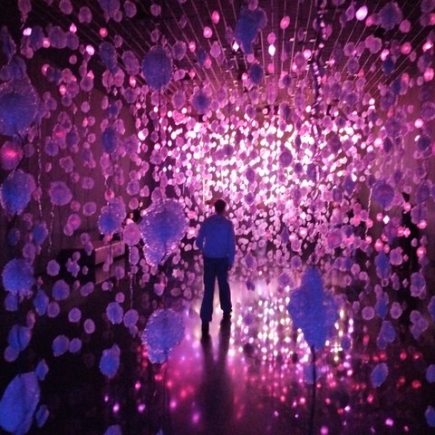 IMG 20251106 140156. Vergrösserte Ansicht