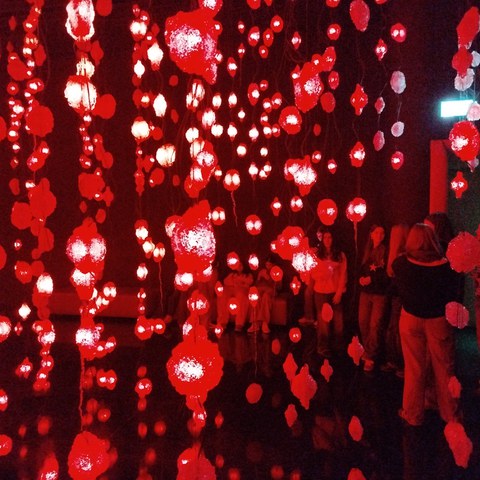 IMG 20251106 140311. Vergrösserte Ansicht