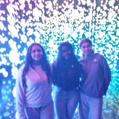 IMG 20251106 140434. Vergrösserte Ansicht