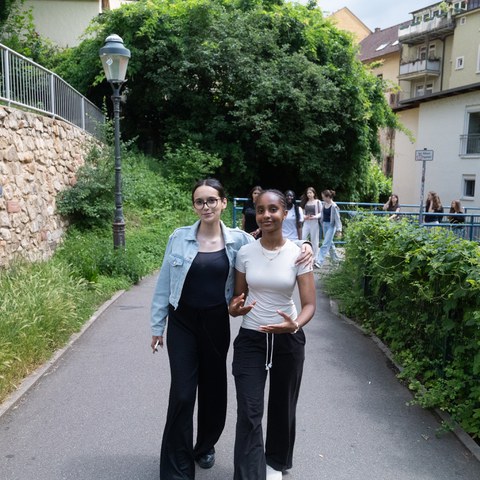 DSC00806. Vergrösserte Ansicht