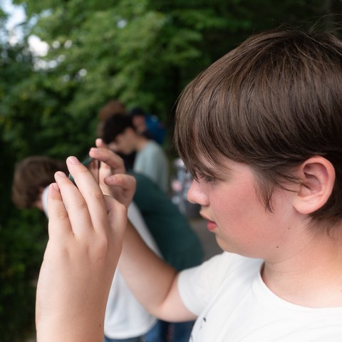 DSC00814. Vergrösserte Ansicht