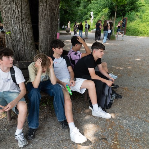 DSC00819. Vergrösserte Ansicht