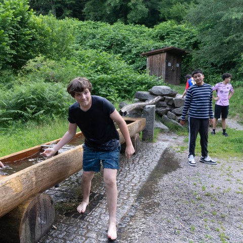 DSC00845. Vergrösserte Ansicht